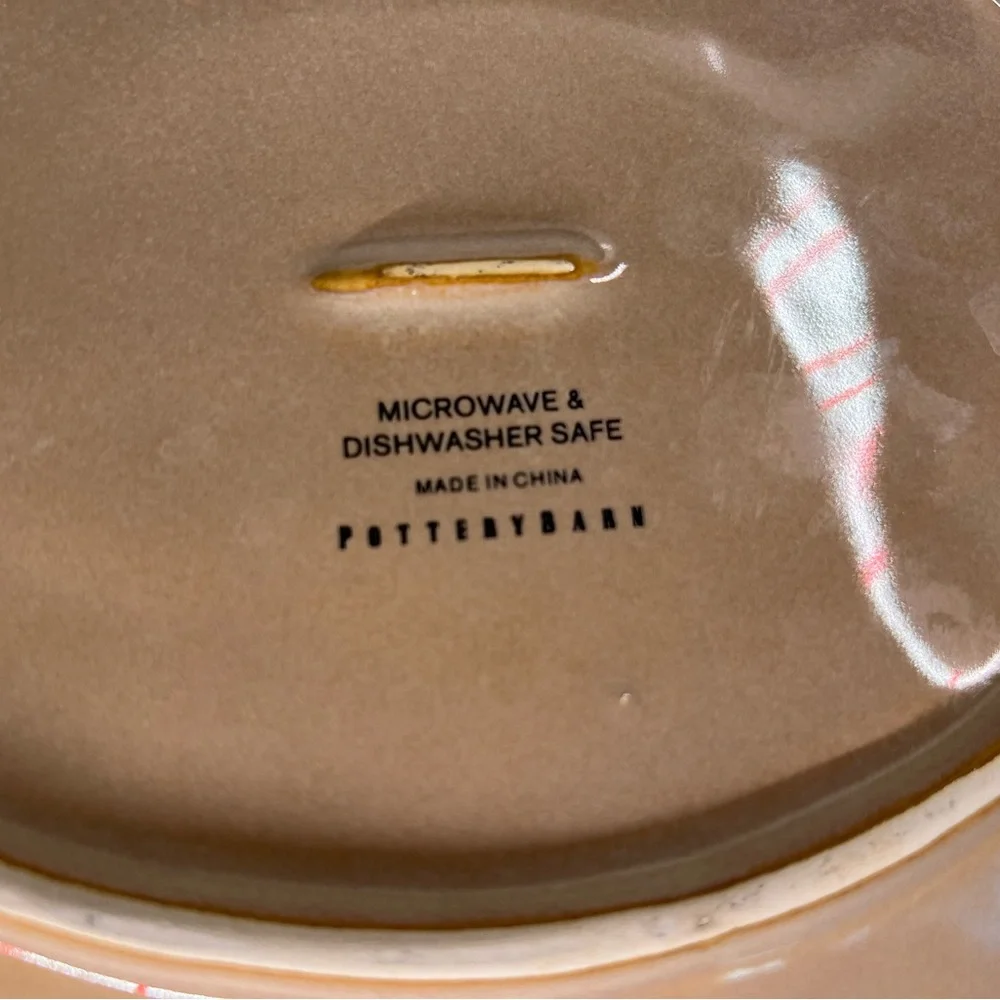 Pottery Barn Rustic Pumpkin Serving Decor Dish